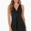 Pin Point Marais One Piece Swim Dress DD-Cup