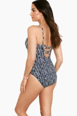 Silver Shores Captivate One Piece Swimsuit